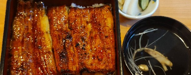 うなぎ 浜名亭