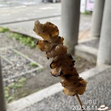hockeynuts00さんの写真