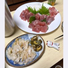 gatameshiさんの写真
