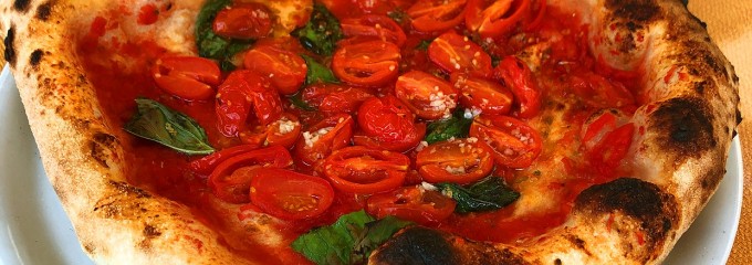 小谷流の里 ドギーズアイランド