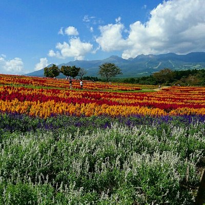 那須フラワーワールド お花見