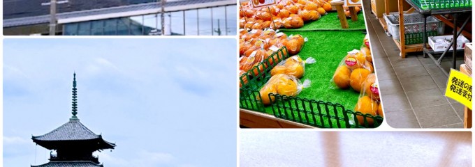 吉備路もてなしの館 山手