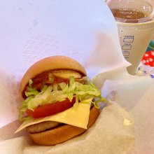 koupapaさんの写真