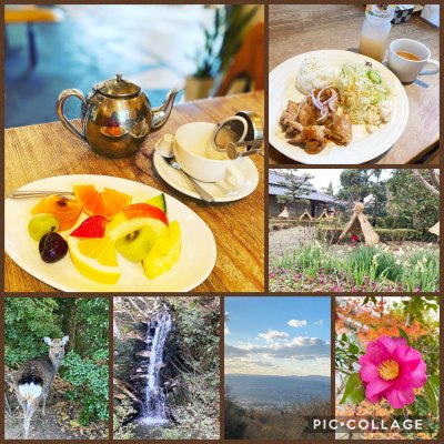 旬のフルーツcafe もんちっち3 桜井 明日香 天理 二上神社口 カフェ 旬のフルーツcafe もんちっち3 桜井 明日香 天理 二上神社口 カフェ