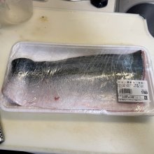 kodairakunさんの写真