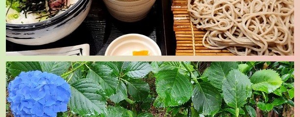 たまの里