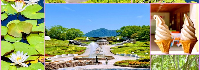 みちのく杜の湖畔公園
