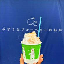tarico1203さんの写真