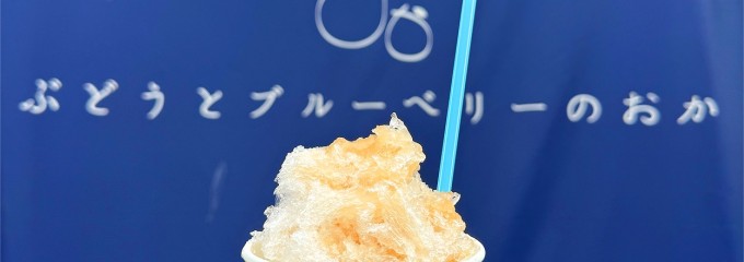 ぶどうとブルーベリーのおか
