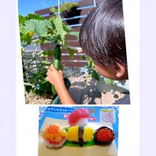 unucashetoさんの写真