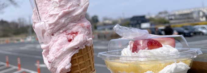 道の駅　にのみや