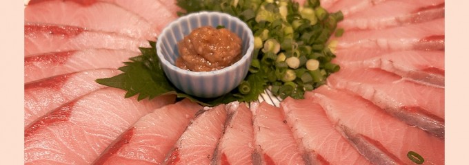 能登美