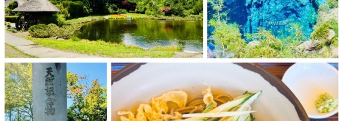 忍野八海
