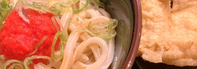 讃岐うどん大使 水道橋麺通団