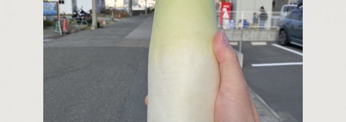 ドライブイン　しぶき亭