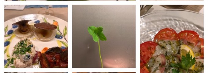 たまキャアノ