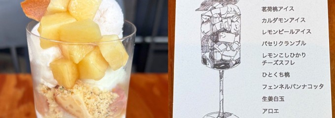 浅煎りコーヒーと自然派ワイン Typica（ティピカ）