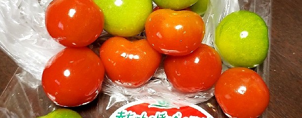 道の駅常陸大宮 かわプラザ