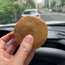 yoshik1さんの写真