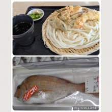 kinokodaimaouさんの写真
