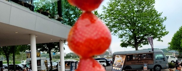 道の駅 マオイの丘公園