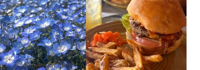 STRATO burger&grill