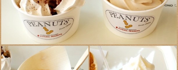 道の駅 しょうなん