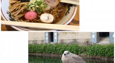 麻ほろ 小樽市 小樽 ラーメン