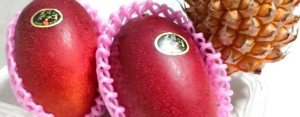 ラディッシュセブン カリーノ宮崎店