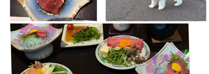 下呂紅葉館 別館わん泊亭