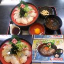 淡路島たぬき食堂 定食 食堂