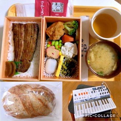 宮川本廛 宮川本店 銀座松屋店 銀座 新橋 有楽町 銀座 うなぎ どじょう 宮川本廛 宮川本店 銀座松屋店 銀座 新橋 有楽町 銀座 うなぎ どじょう
