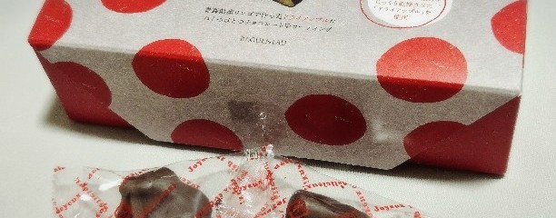 株式会社 ラグノオささき