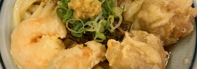 自家製生うどん 饂飩頑陣