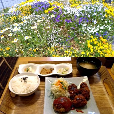 わたしの食卓 白島店 広島市 白島 アストラム 定食 食堂 わたしの食卓 白島店 広島市 白島 アストラム 定食 食堂