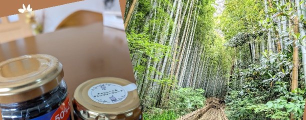 sakuraヘルシーテラス