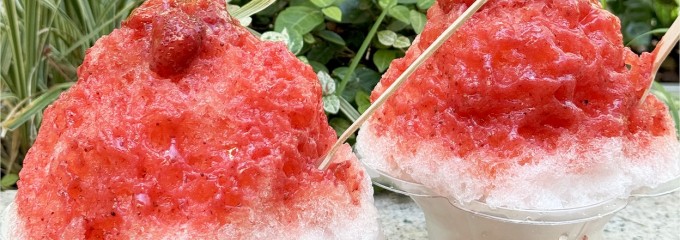 ショコラトリー フォー