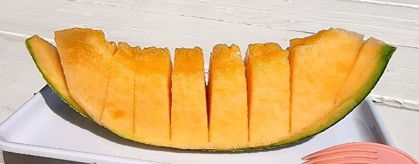 中田農園
