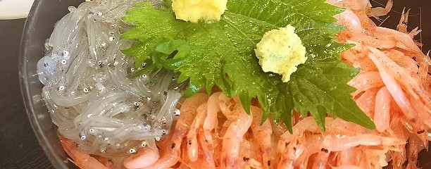 桜えび料理 開花亭