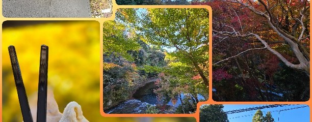 山里のジェラテリア 山猫