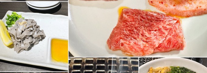 焼肉ホルモン ハレルヤ 鶴橋本店