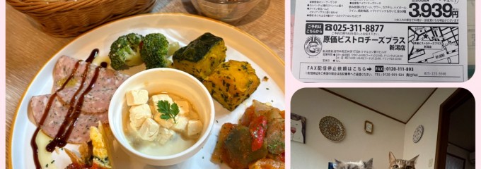 原価ビストロチーズプラス 新潟