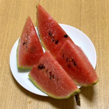 arfaさんの写真