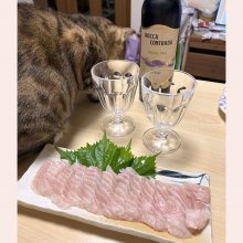 gatameshiさんの写真