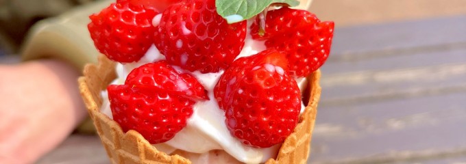 ヤスダヨーグルト