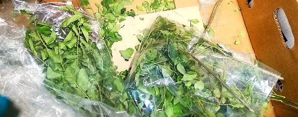 ナスコ ケバブ