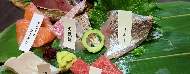 魚酒炭菜おどりや 成田東店