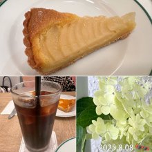 notoさんの写真