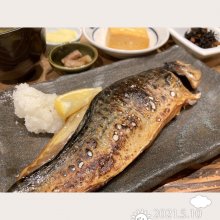 溝の口駅のグルメ レストラン ミイル 溝の口駅のグルメ レストラン ミイル