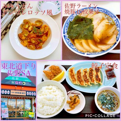 東北道 佐野sa 下り ラーメン